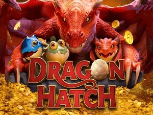Dragon Hatch